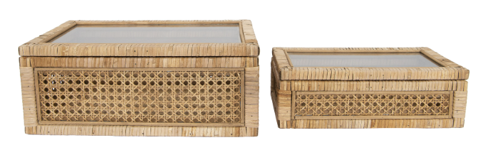 Display Boxes with Glass Lids, Set of 2