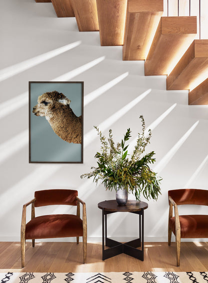 Fortino Armchair