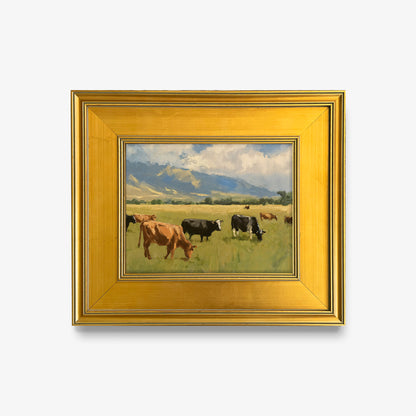 Cows in Pasture