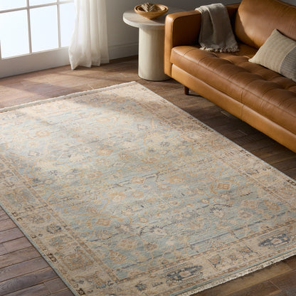 Resonant Light Blue/ Beige Area Rug