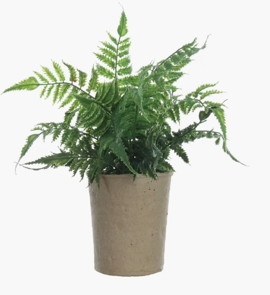 Faux Fern in Paper Pot