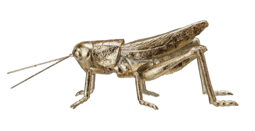 Grasshopper, Gold Finish