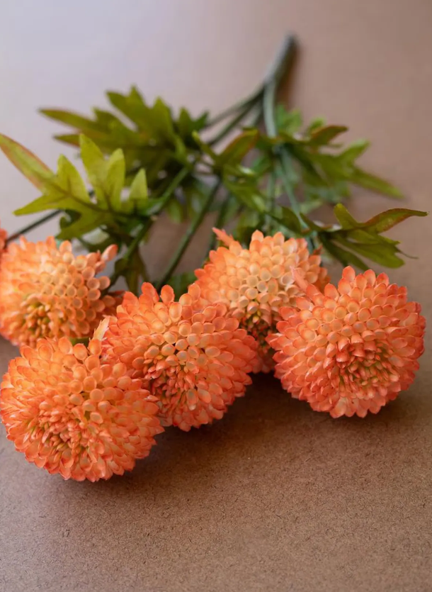 Orange Ball Dahlias