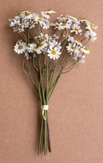 Faux Chamomile Bundle / White